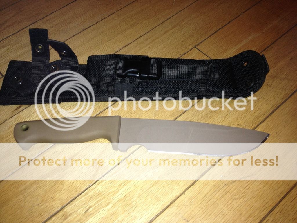 IMG_6543_zpsnns5cxh7.jpg