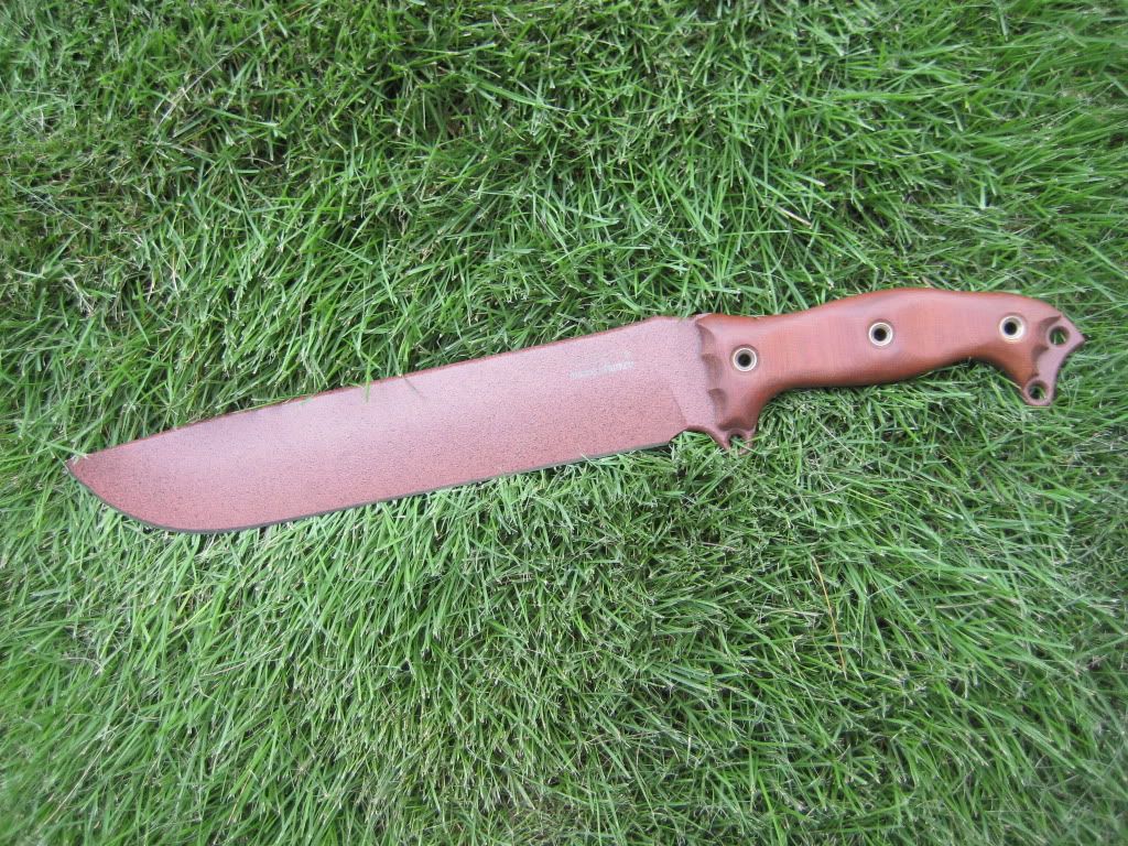 Busse-NMFBMBamaClayandbrownscalesin.jpg