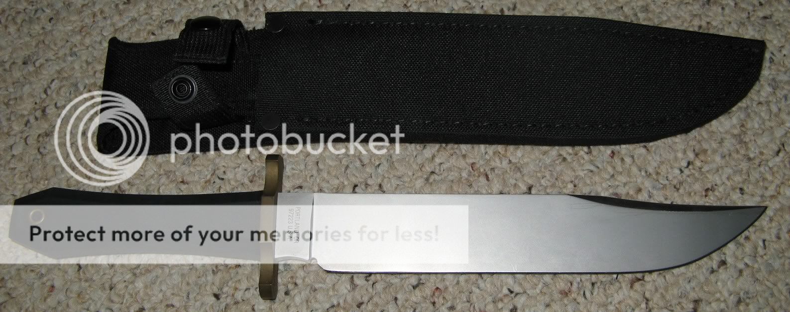 gerberbowie002.jpg