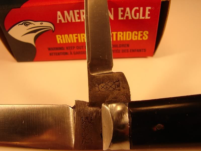 DSC01011-1.jpg