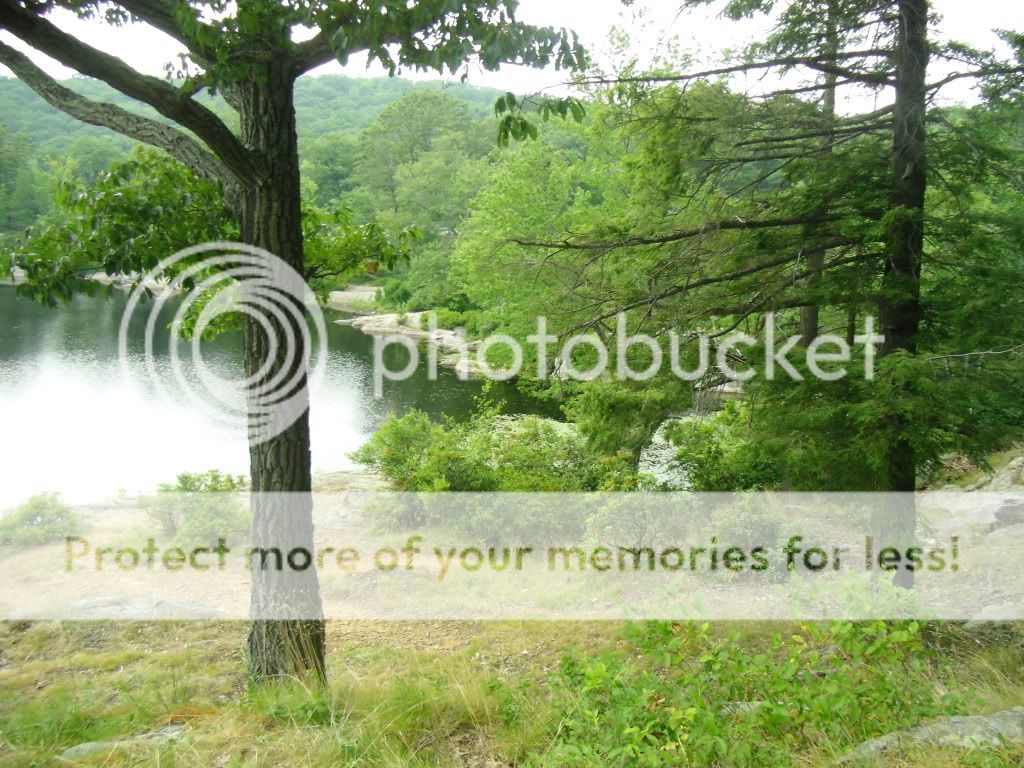 PICT0024-10.jpg