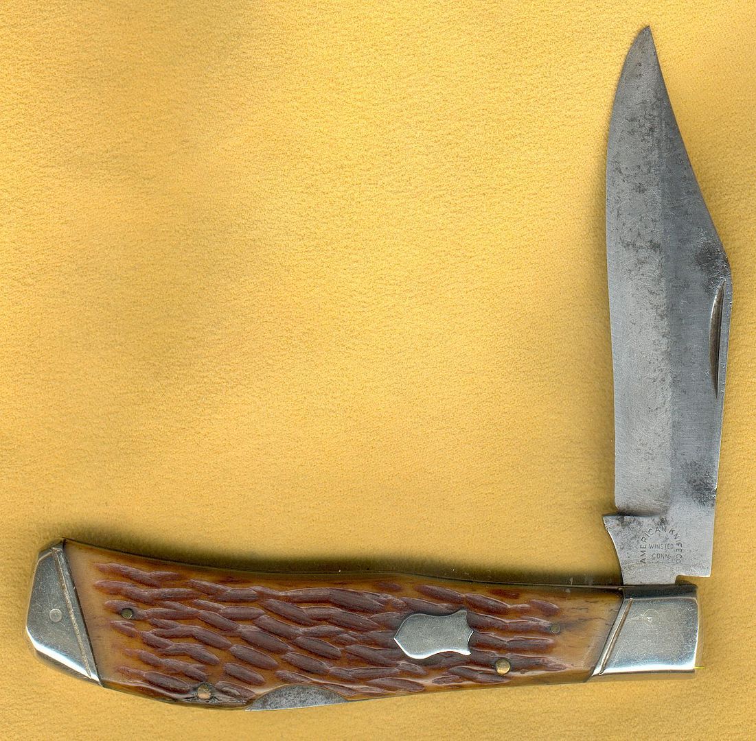 AmericanSHF_zpsr3myyxfd.jpg