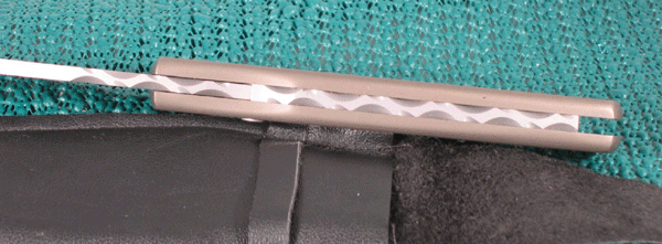 ZAutoSpineFilework.gif