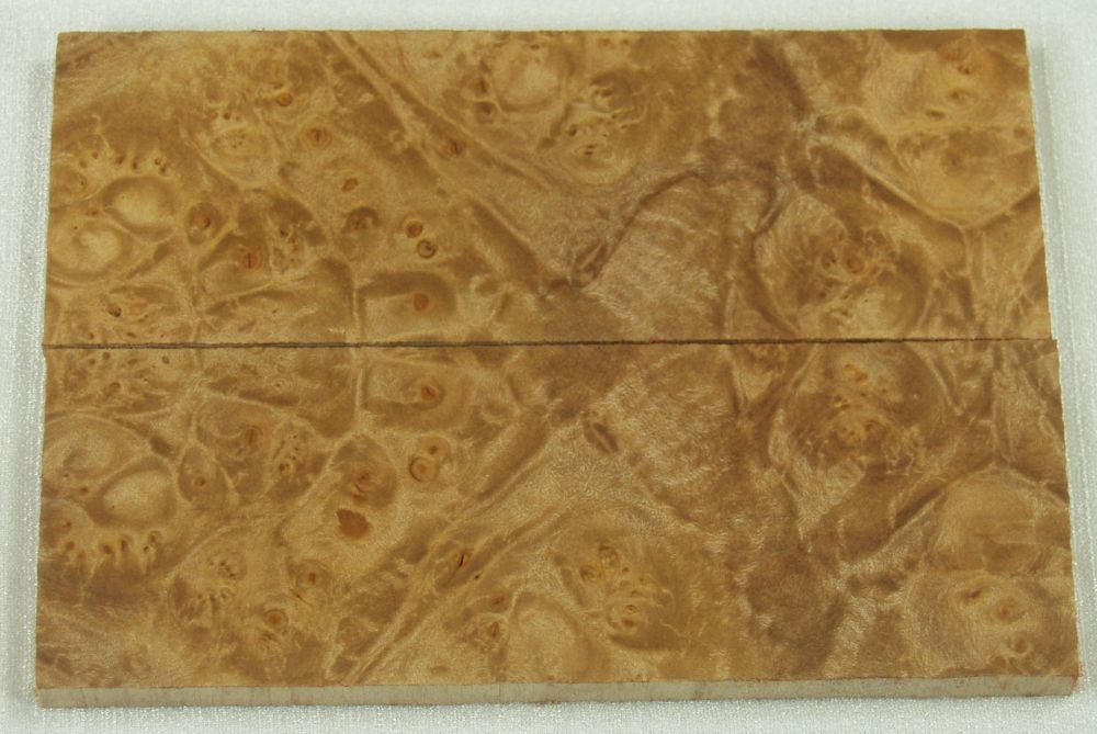 2005.jpg