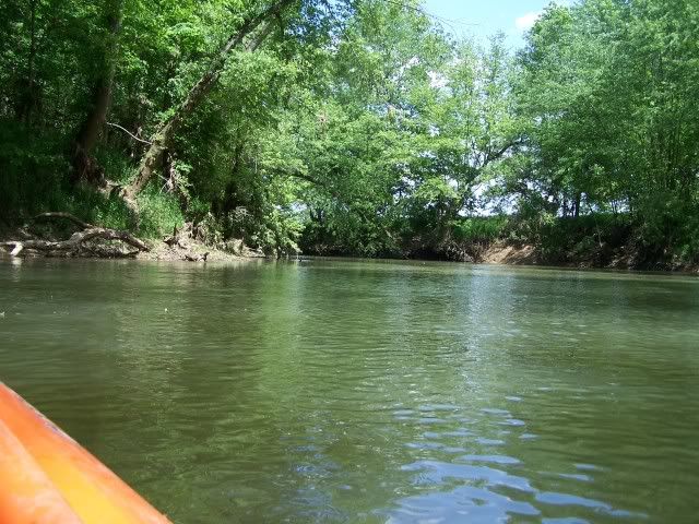 100_3770.jpg