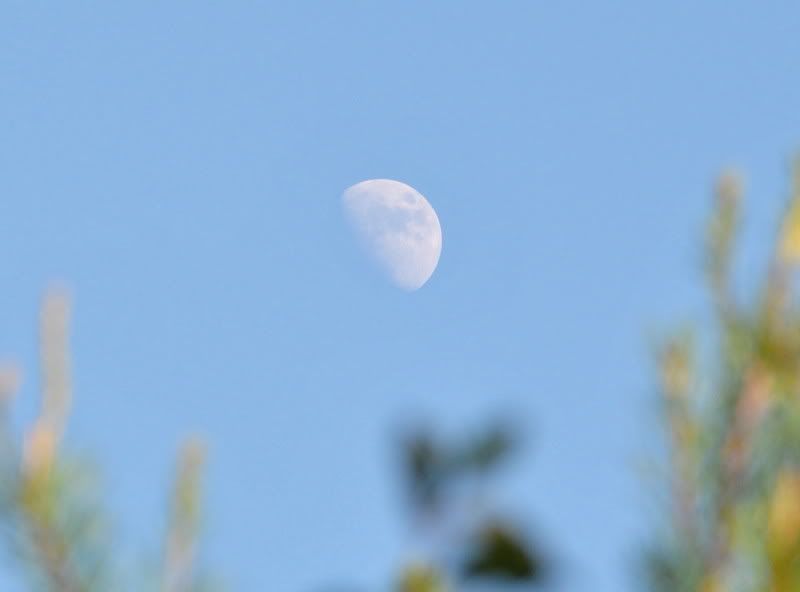 DSC_4612.jpg