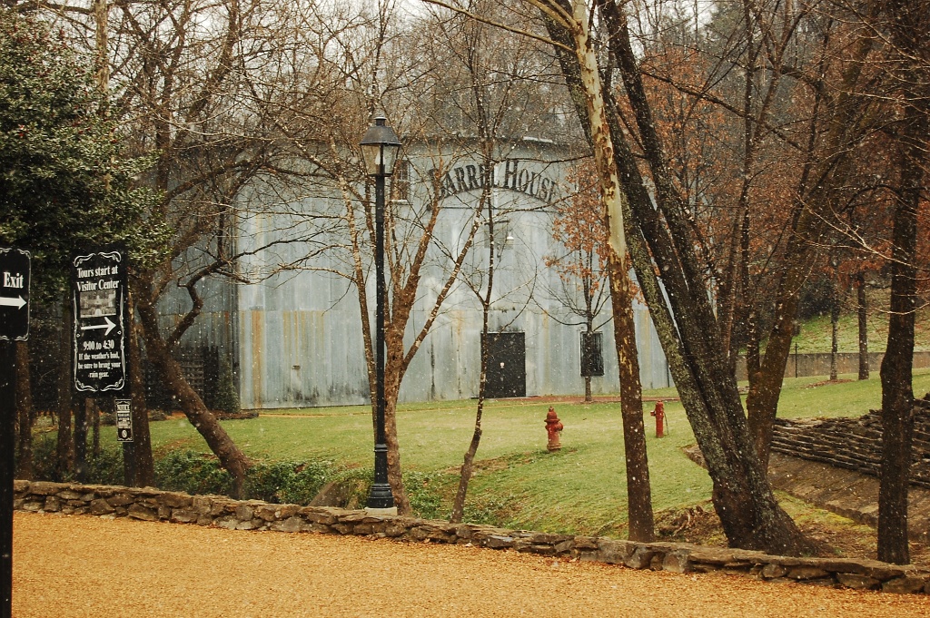 DSC_0243.JPG