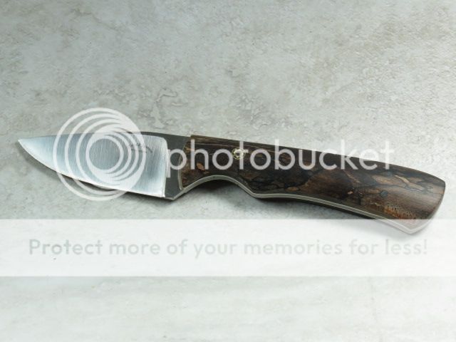 IMG_2160_zps77e648bc.jpg