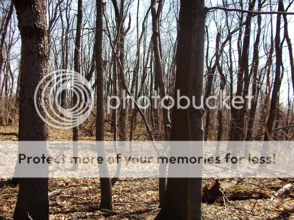 PICT0631.jpg