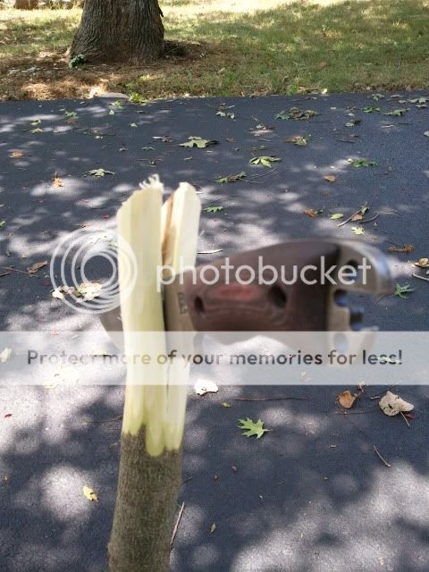 2012-07-03135626.jpg