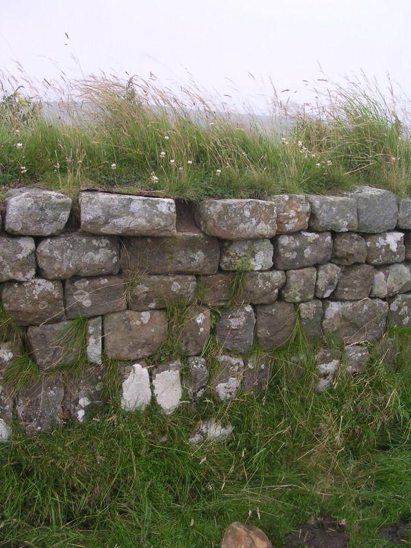 DSCN4484.jpg