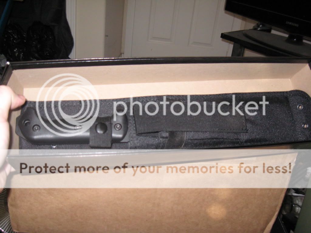 IMG_1253-Copy.jpg