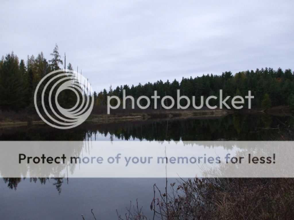 DSCF5801.jpg