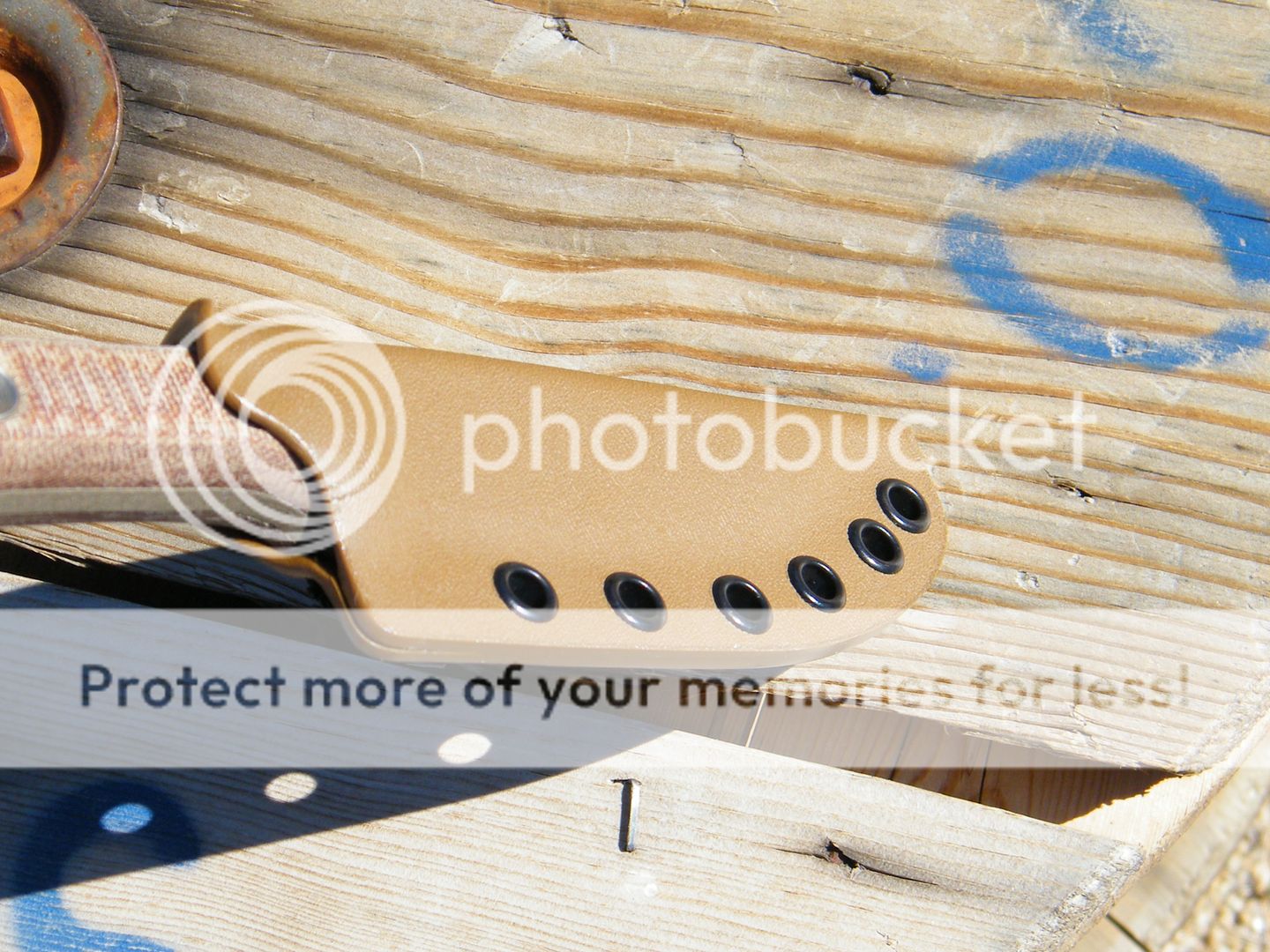 DSCF5171.jpg