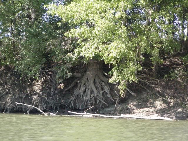 9-10200764.jpg