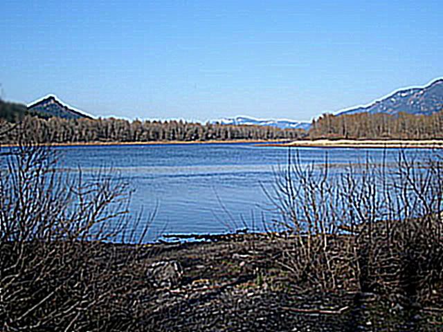 a679b957.jpg