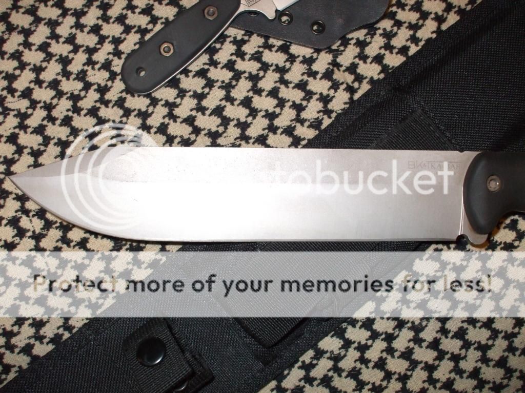 DSCF8096_zps493ecbef.jpg