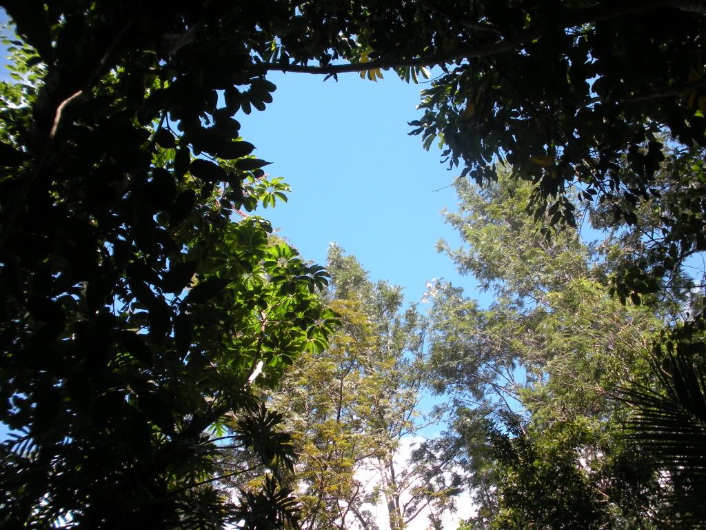 DSCN0736.jpg
