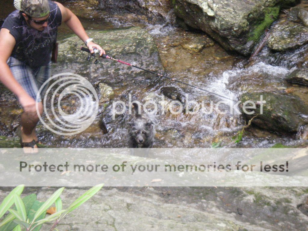 IMGP1369.jpg
