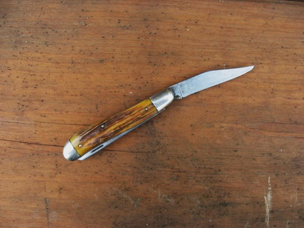 RobesonStagTrapper011.jpg