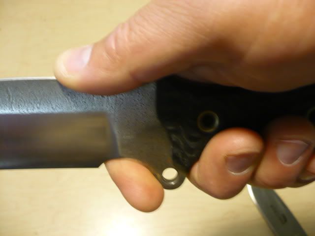 P1040107.jpg