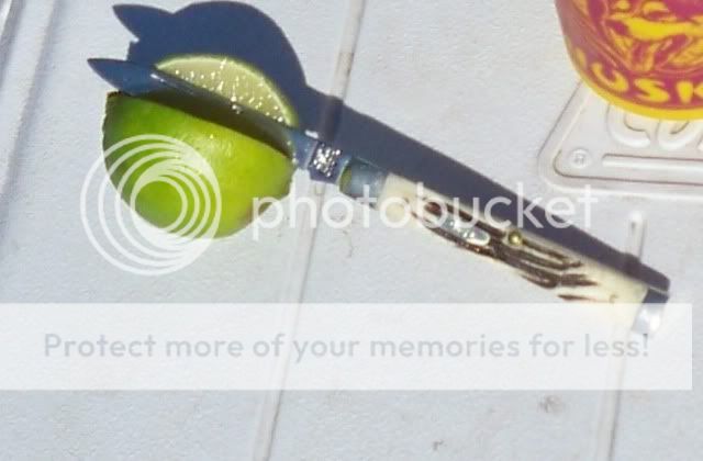 Localflavor.jpg