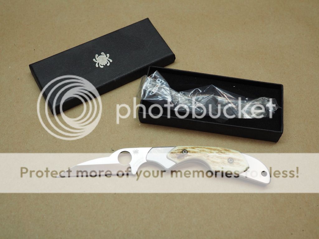 P1193773_zpse1uv6sic.jpg