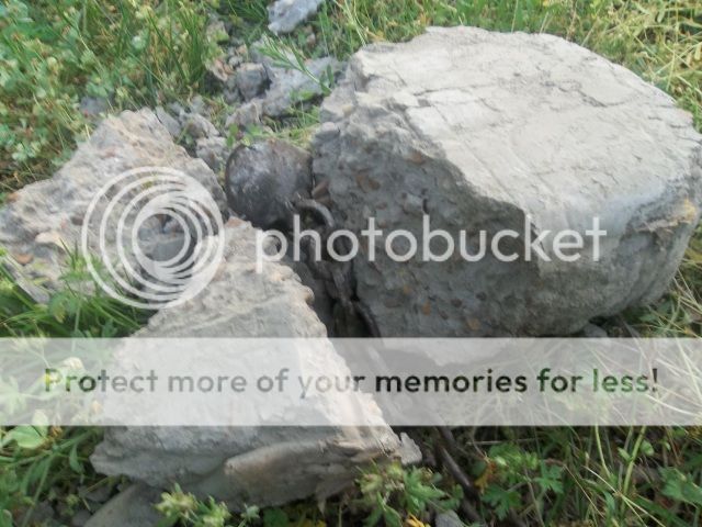 100_1621.jpg