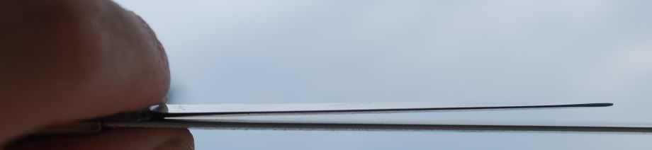 DSC_5843.jpg
