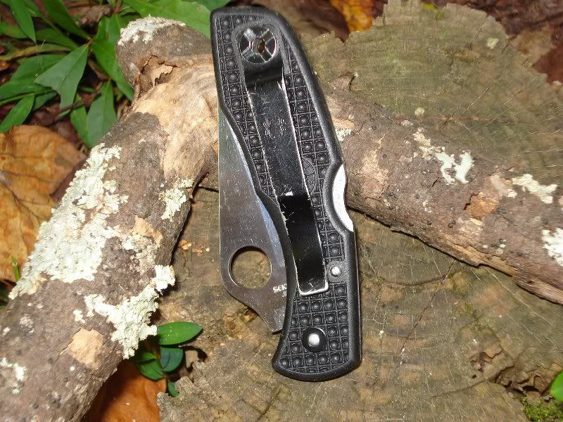 Delica3_3.jpg