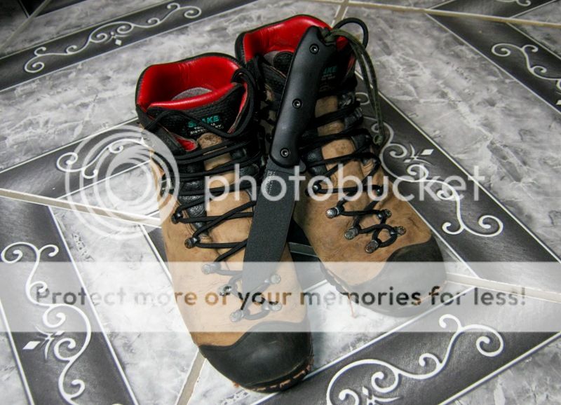 IMG_0150_zpsaf409f9c.jpg