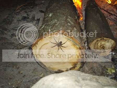 PICT0486.jpg