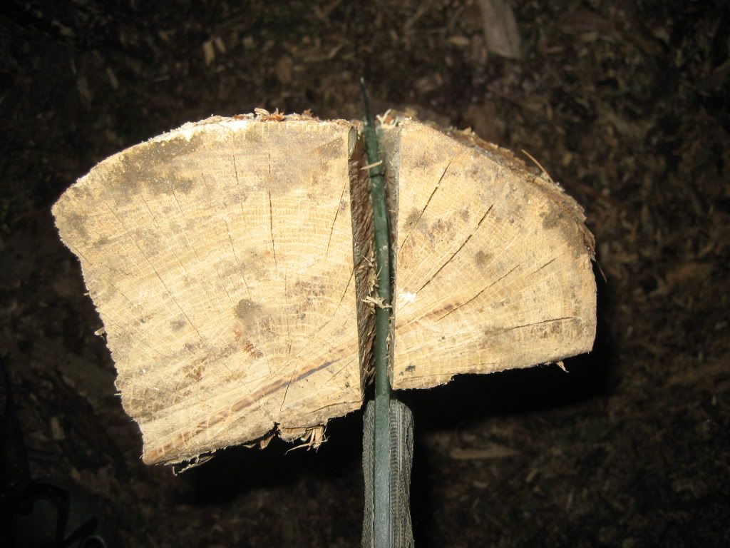 080.jpg