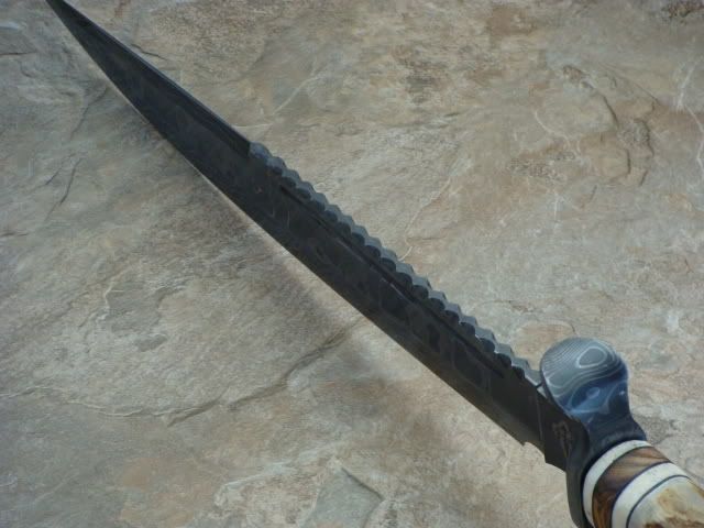 DSC02316.jpg