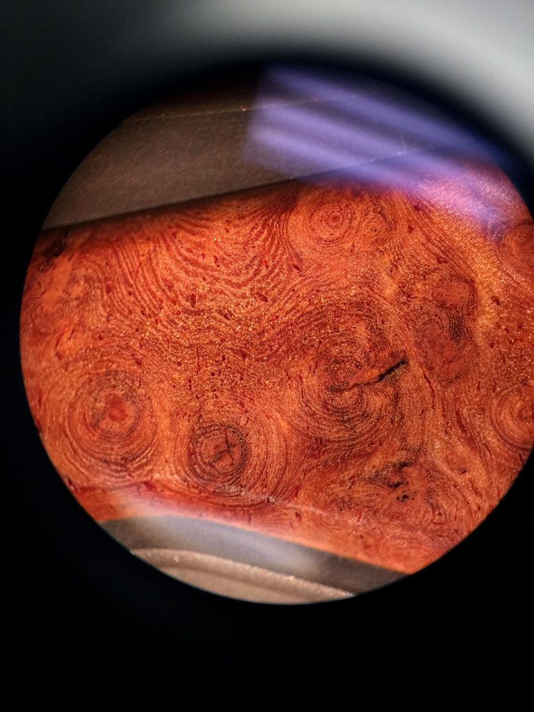 ldzI8EBh.jpg