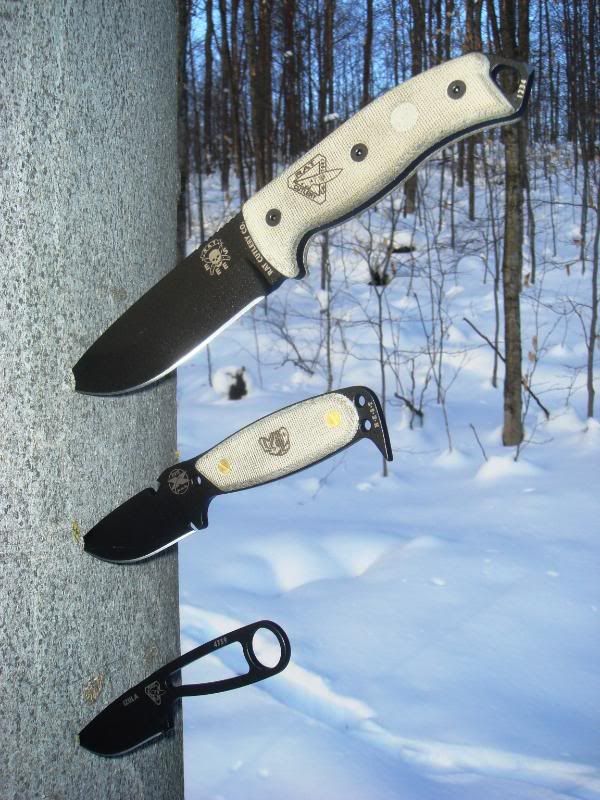 RatsintheSnow.jpg