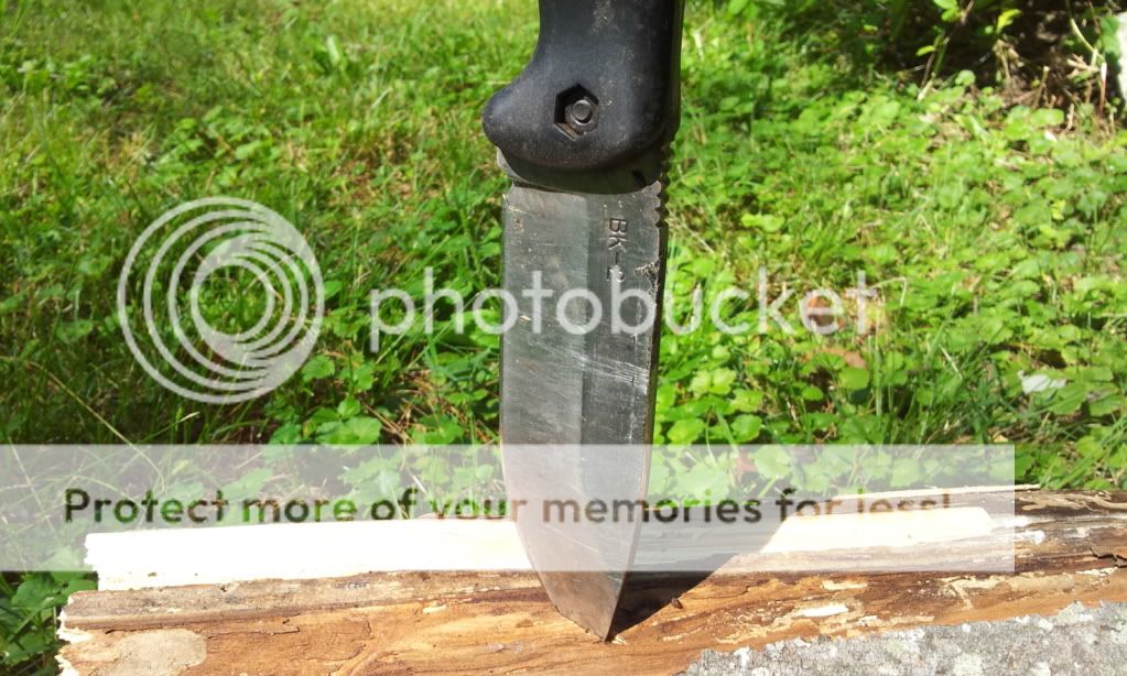 2012-06-19101547.jpg
