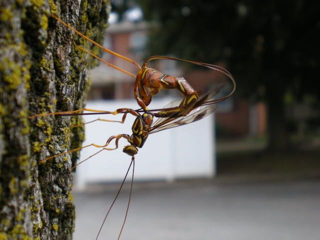 DSCN0638.jpg