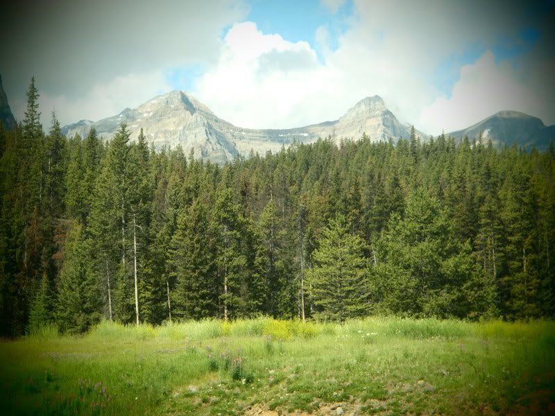 Banff2012117.jpg