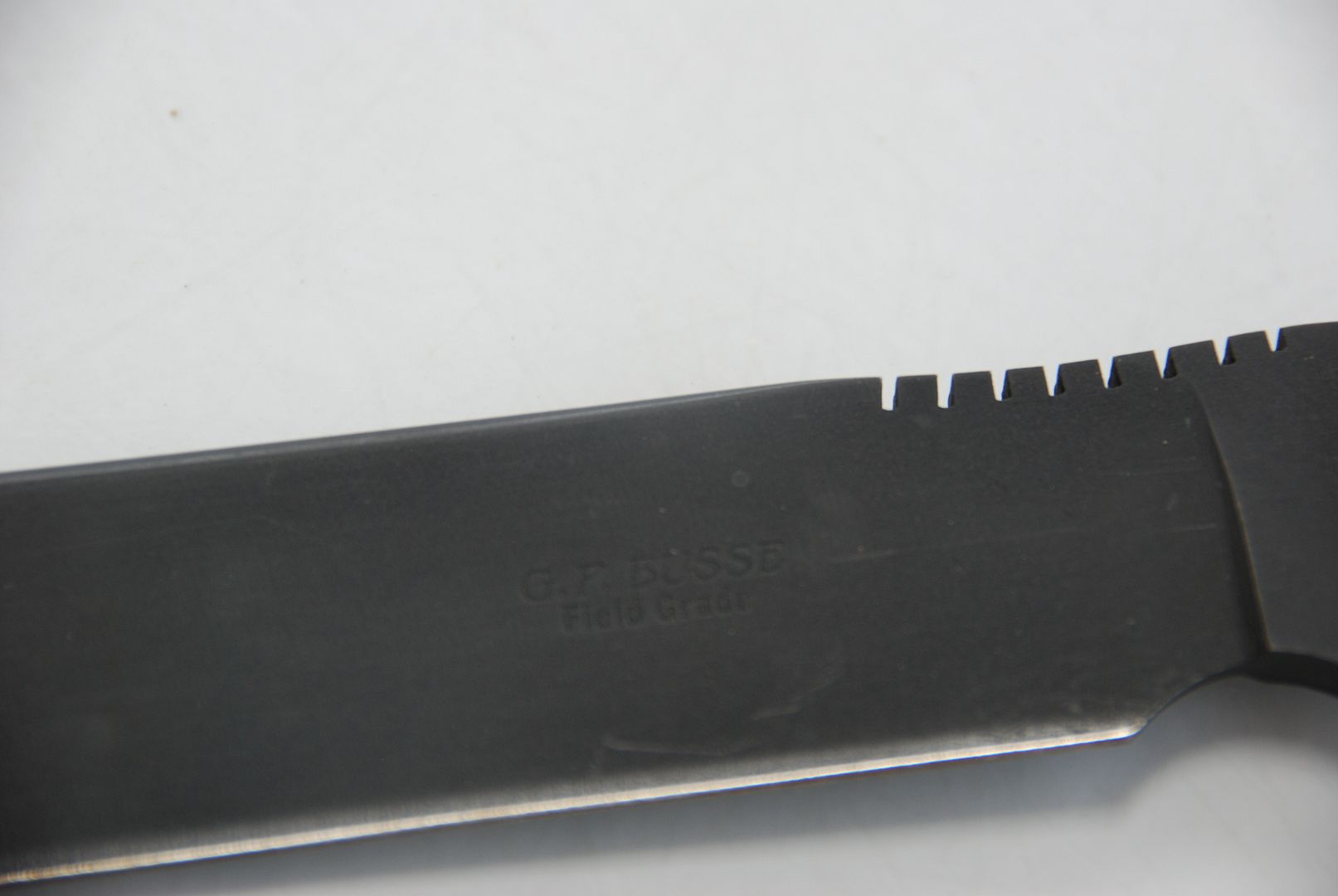 banditswardoginfishba022.jpg