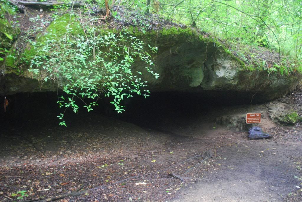 DSC_0382.jpg