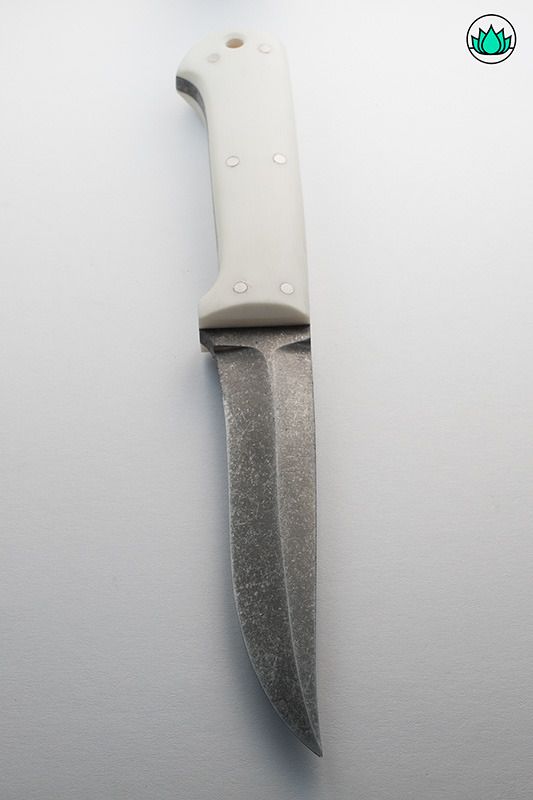 pk2.jpg