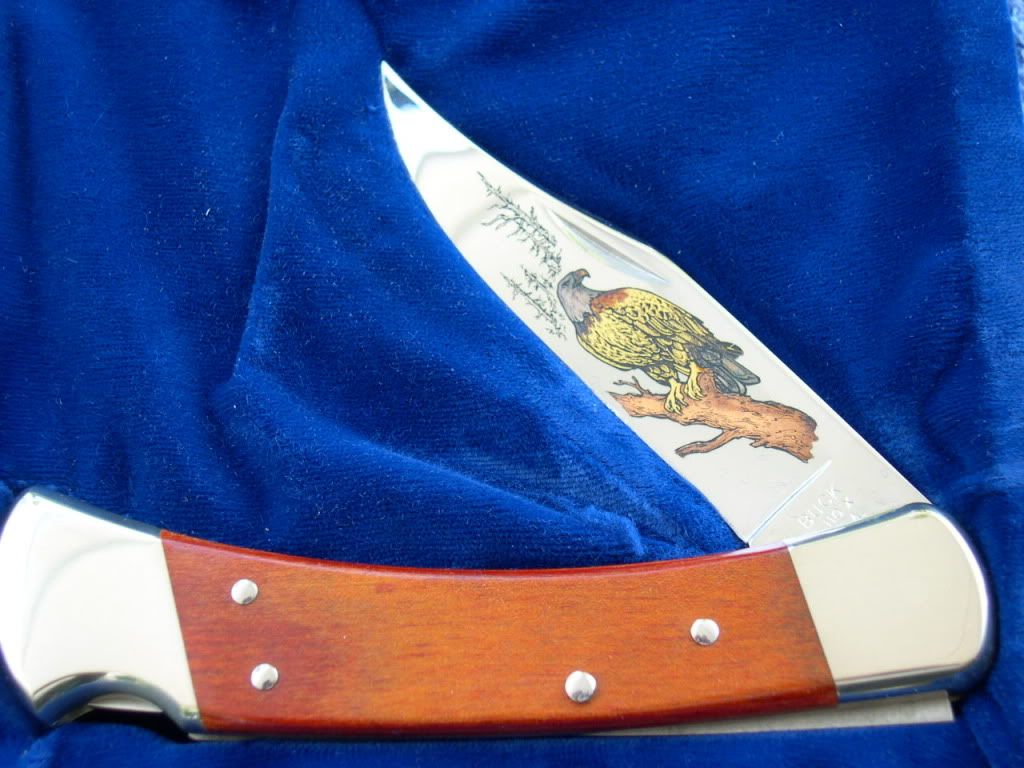 DSCN0506.jpg
