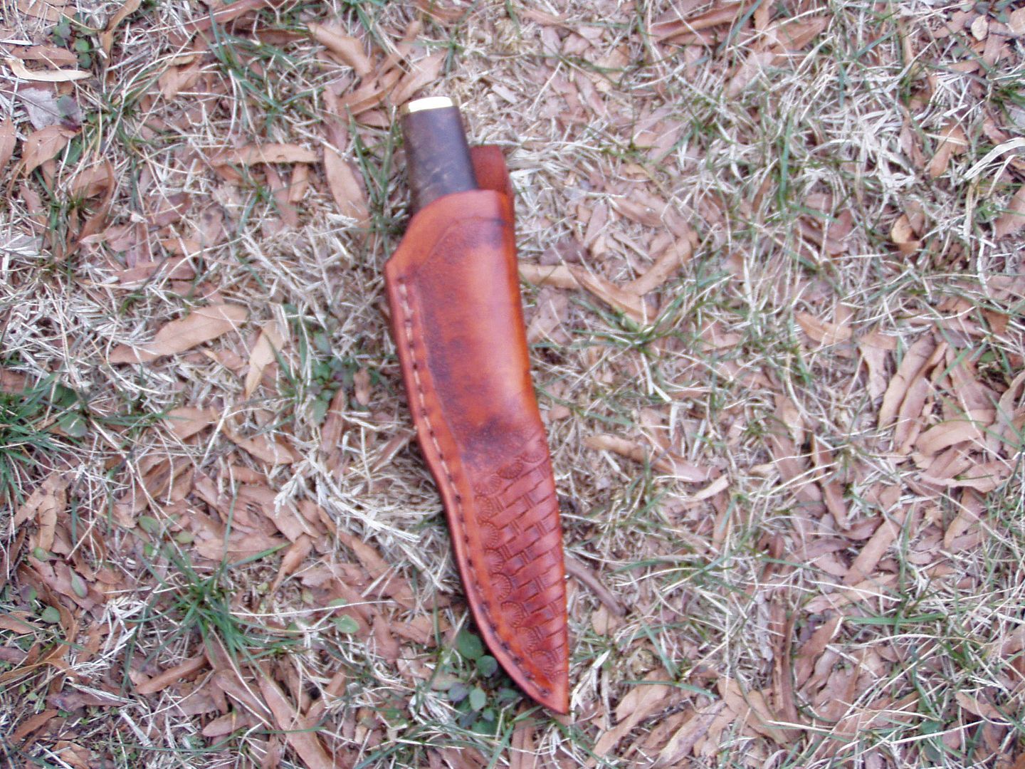 002-98_zps9bedc56f.jpg