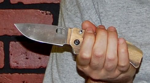 Busse_Closeup-FOLDER-BLADE2011.jpg