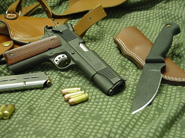 Springfield1911ParkedSWHowlingRat.jpg