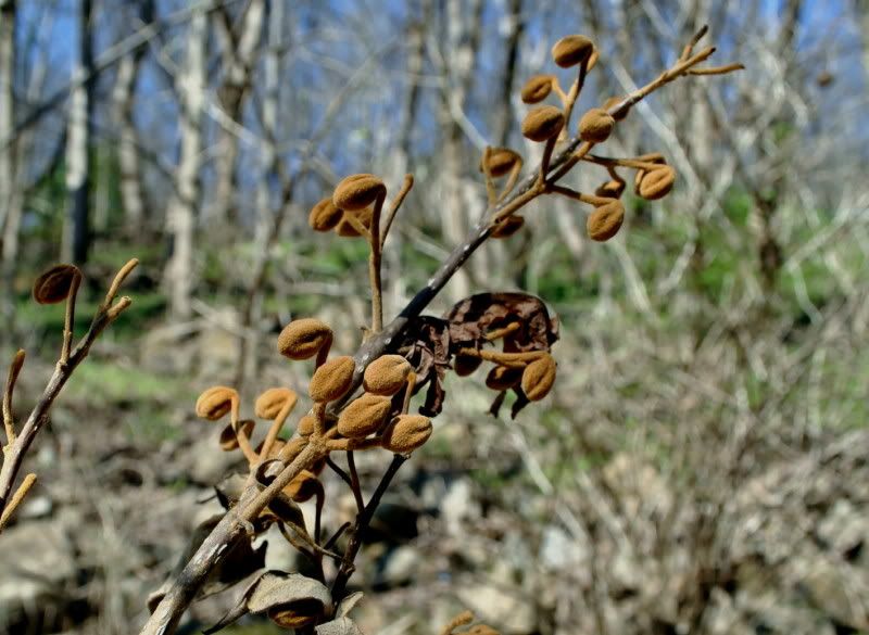 DSC_0769.jpg