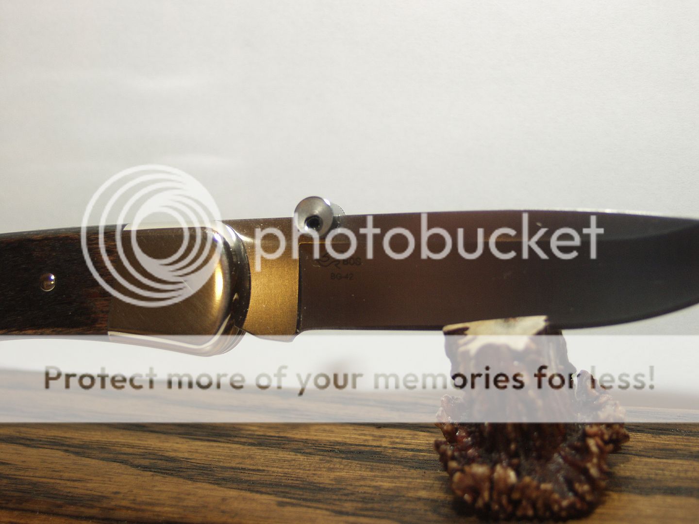 BG-42%20Buck%20001_zpsaaczfnst.jpg