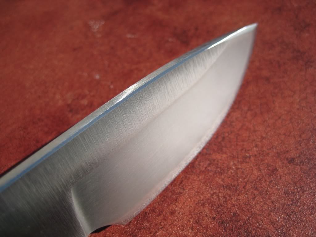 SwampRat-HowlingRatedgepicspinebeve.jpg