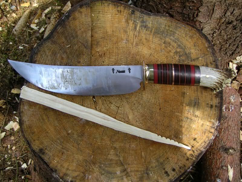 ScagelForesttestprecisionwork.jpg